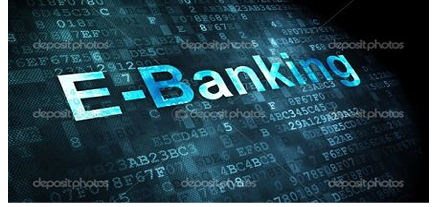 Electronic Banking Profitability Consulting